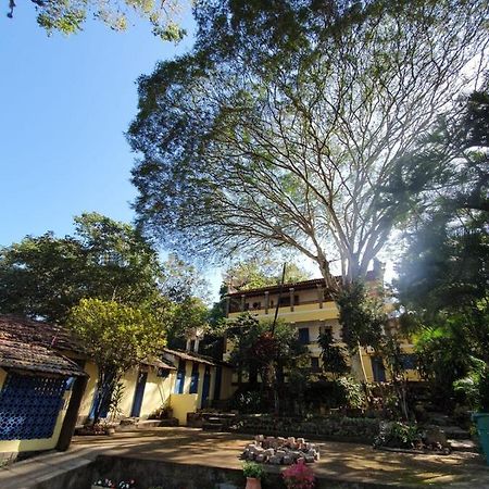 Casa Da Fonte Hospedaria Hotel Miguel Pereira Ngoại thất bức ảnh